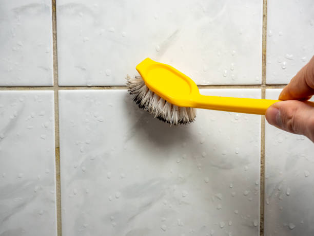 Best Bathroom Mold Remediation in Cold Spring Harbor, NY